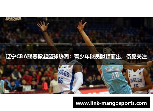 辽宁CBA联赛掀起篮球热潮：青少年球员脱颖而出，备受关注