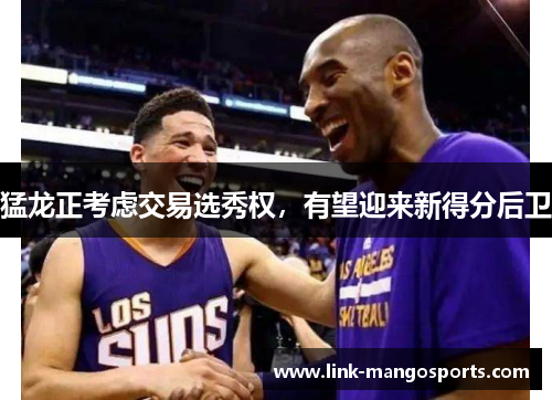 猛龙正考虑交易选秀权，有望迎来新得分后卫