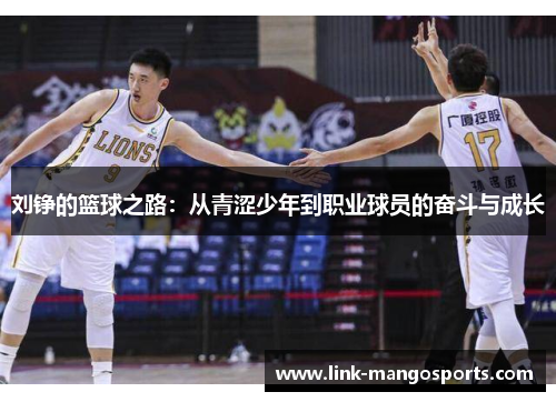 刘铮的篮球之路：从青涩少年到职业球员的奋斗与成长