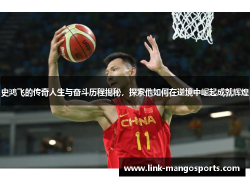 史鸿飞的传奇人生与奋斗历程揭秘，探索他如何在逆境中崛起成就辉煌