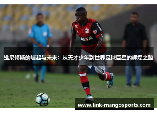 维尼修斯的崛起与未来：从天才少年到世界足球巨星的辉煌之路